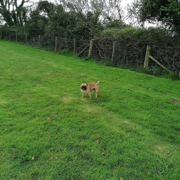 1835 b9778fec5ed5ec0c6c0ce81b2bb9e01f 1 768x768