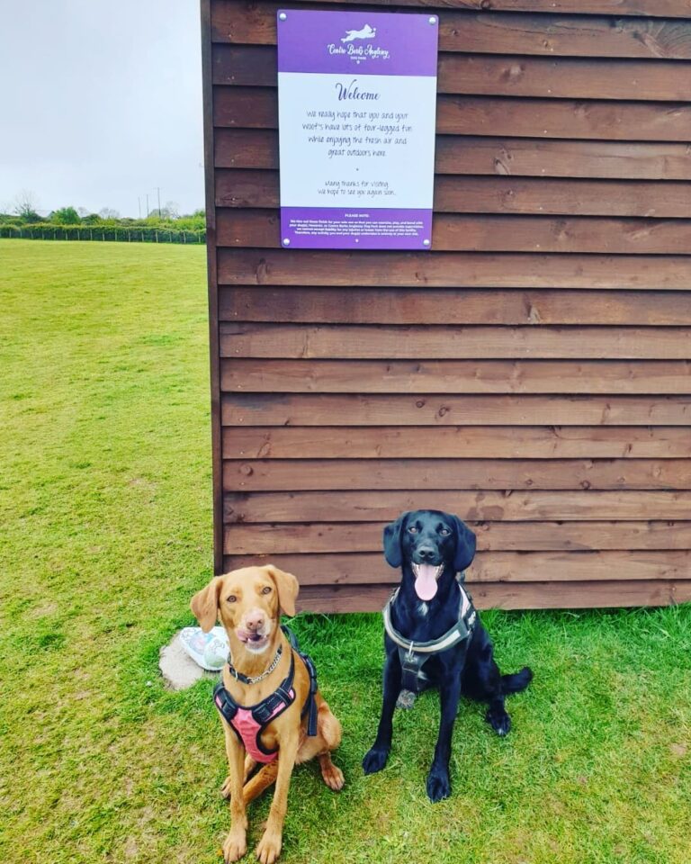 1835 cd2d957f2d9e017194a1065994c33185 1 768x960