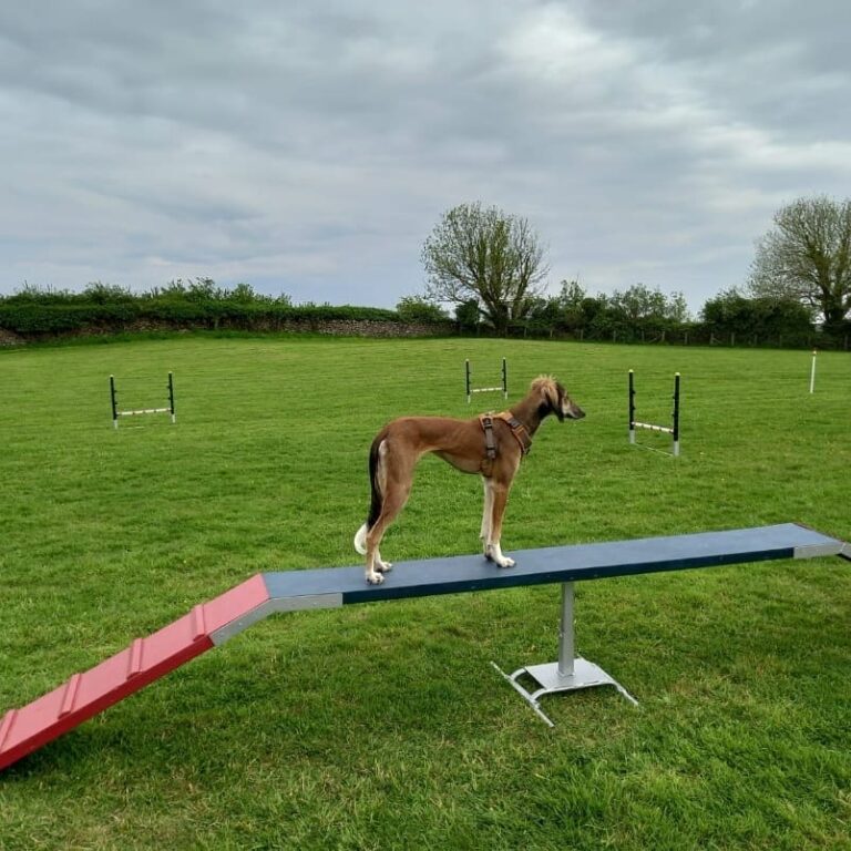 1835 f004d43603692d90bb7d6e53713de7b9 1 768x768