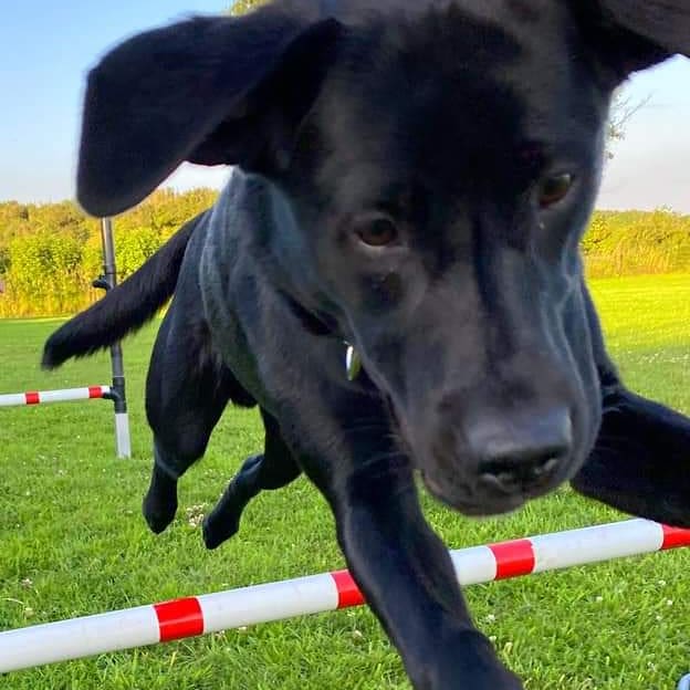 1835 f179bfa642cf26f285fa5c2b0e5c5a66 1