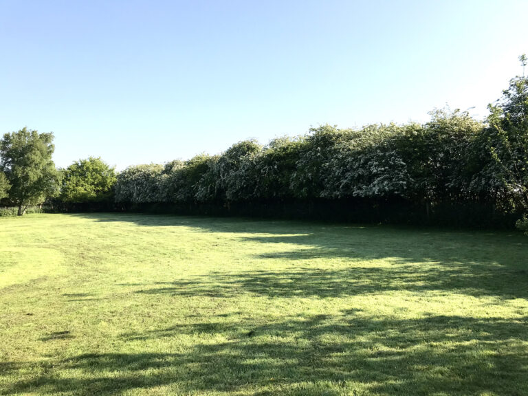 1839 19f063707842e9e0f32cd65b70dde127 1 768x576