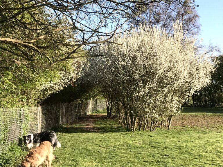 1839 2bb554ef31d5dbc9e9d70920b574df58 1 768x576