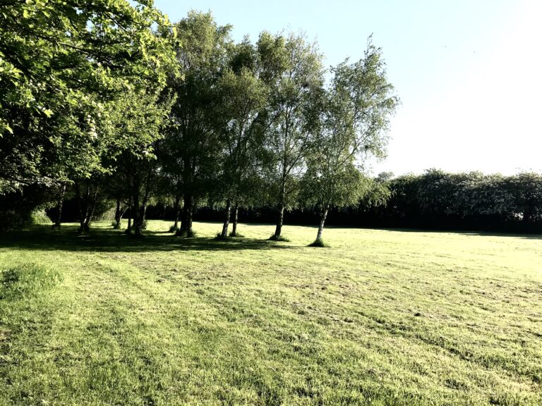 1839 2dee7eea72db425675f5279710ab0ed0 1 768x576