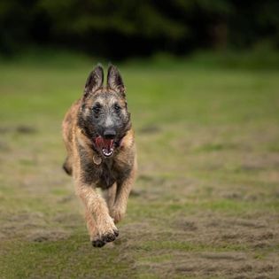 1839 2e484de43e98972b4555744cc7b1f0eb 1