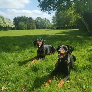 1839 55a778bf822db46b5de1b2607d2d8306 1