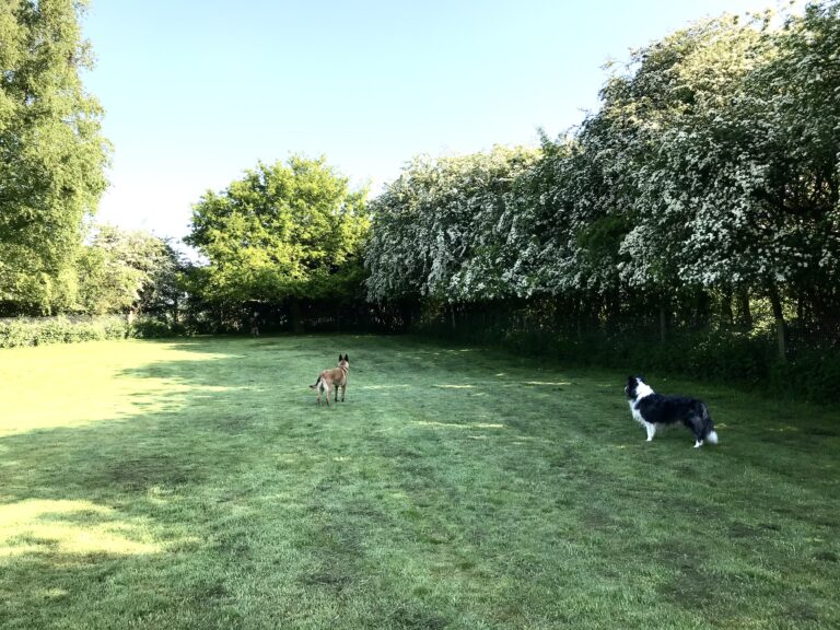 1839 6d8ed0616a94ed79bd978988e91d13be 1 768x576