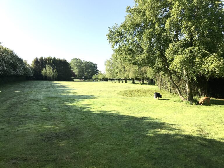 1839 742b74876364cedd5563c42932dd6007 1 768x576