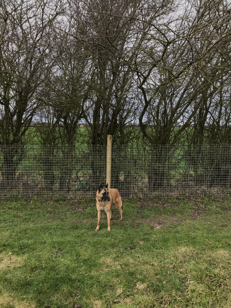 1839 82e4aaa37d35442f908f6eefc417696e 1 768x1024