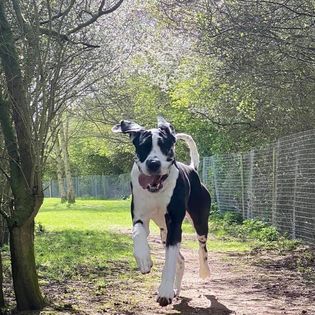 1839 921e6376d0ba6bc667b5a81afb222e55 1