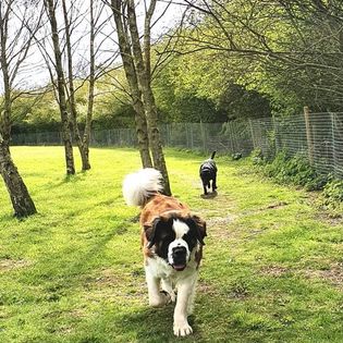 1839 d0ae4016450128b0423e8b52a046ceef 1