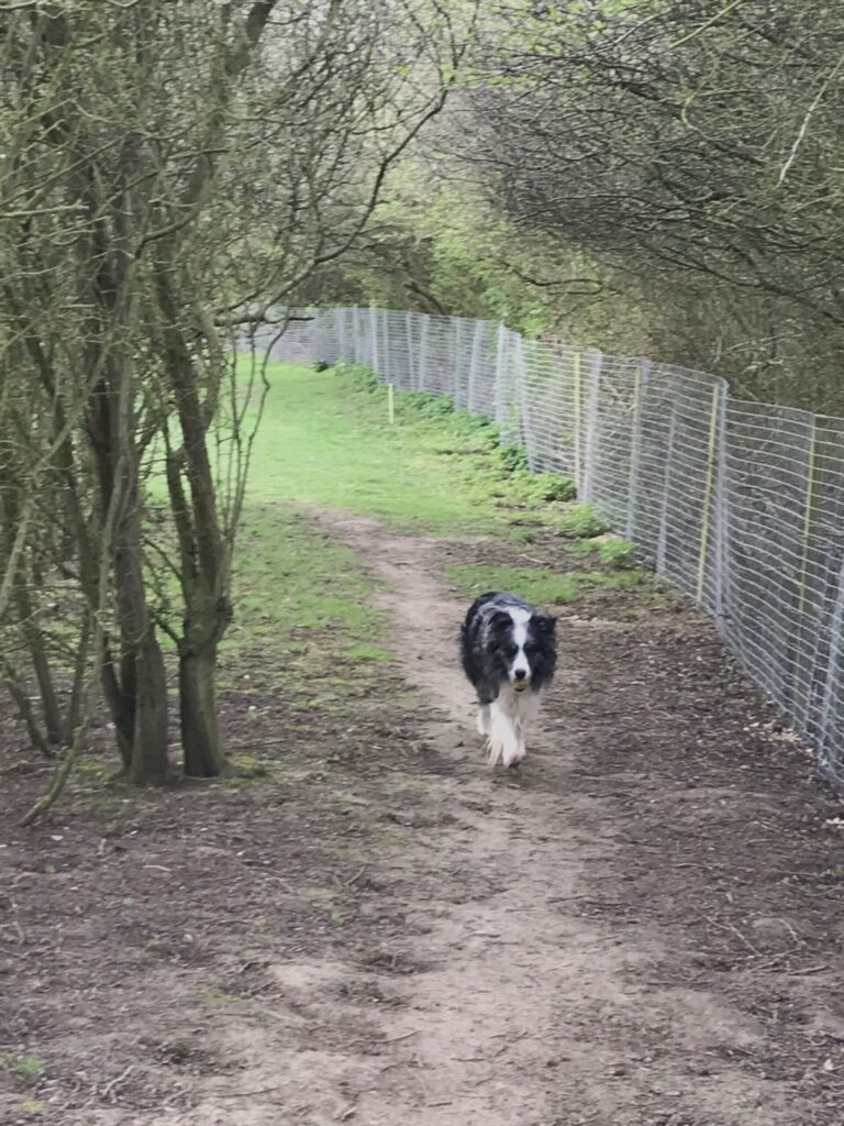 1839 d10af036e66bd02de2e0544034030130 1 scaled 768x1024