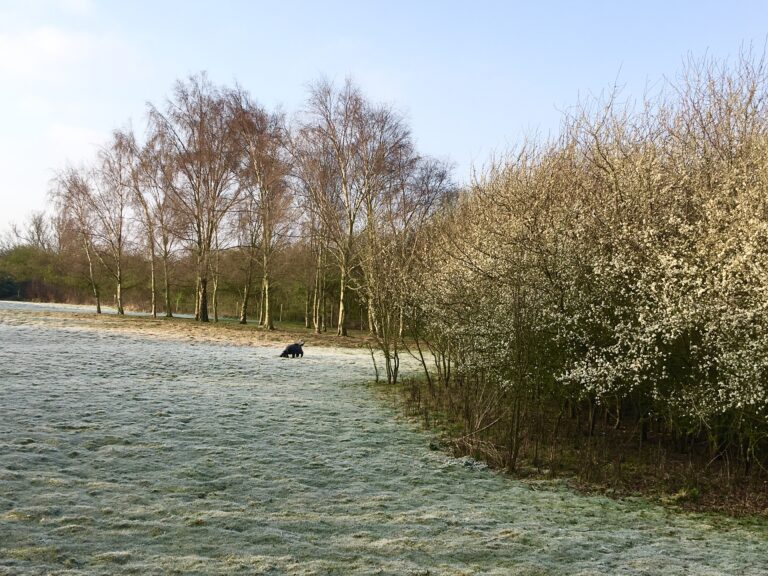 1839 f4943298a09a537de24851f2826f0f6a 1 768x576