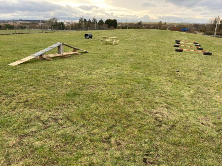 1840 a08cb26a4869ca2e0a52df09176be350 1 768x576