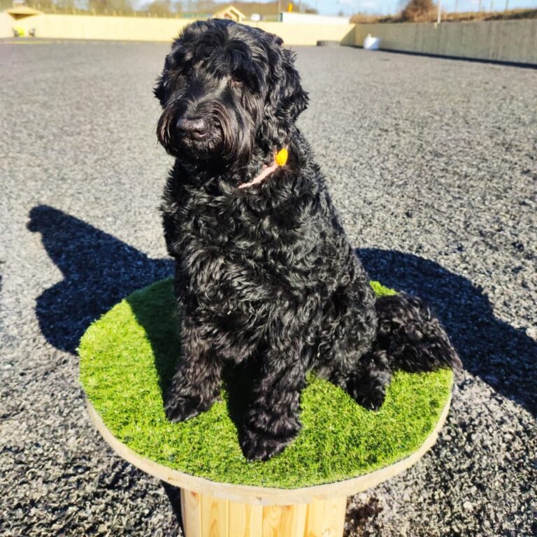 1841 09a75cbedc3b44aaf3b5f47b5fbf4180 1 768x768