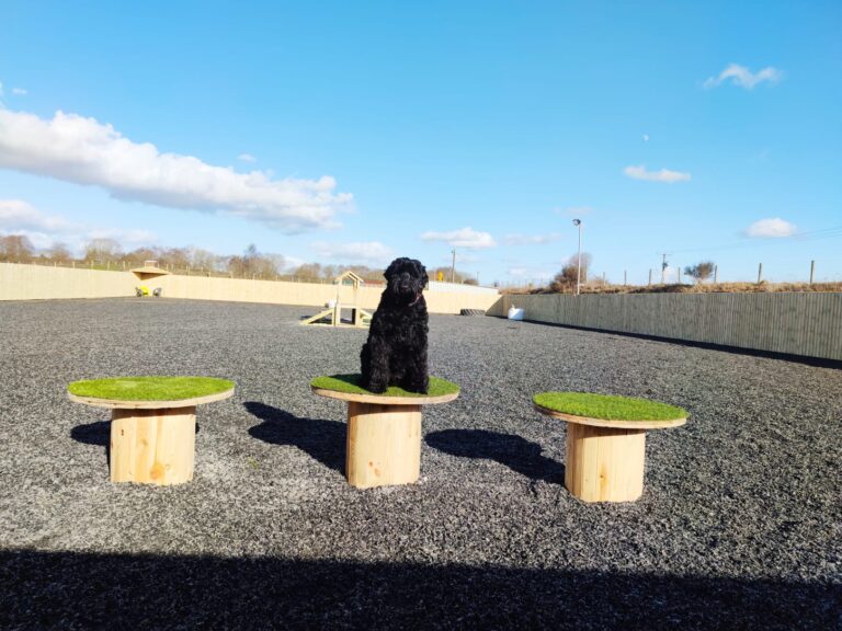 1841 4a8118709095d01a73c9239f8796a20f 1 768x576