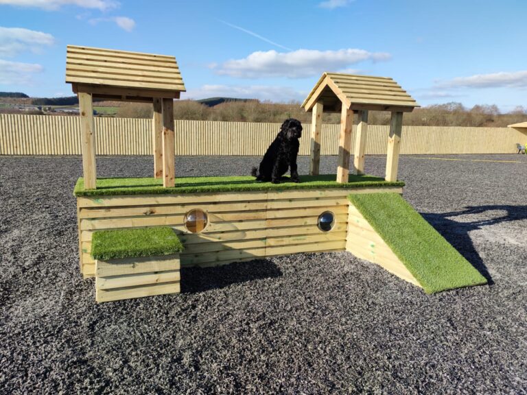 1841 7c3624bfa13dd8bf33ef9274a861aef9 1 768x576