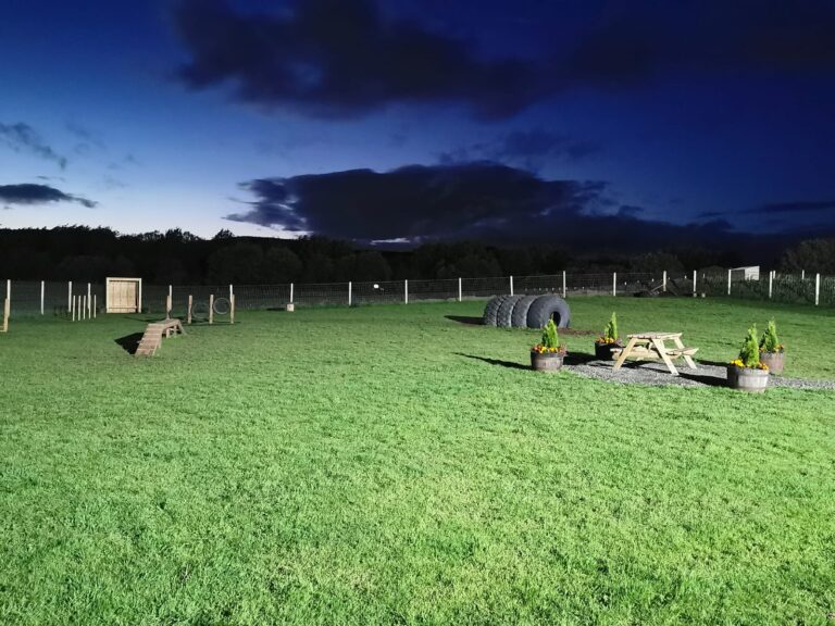 1842 02c6159fa3a4596d0d90b70d3580324b 1 768x576