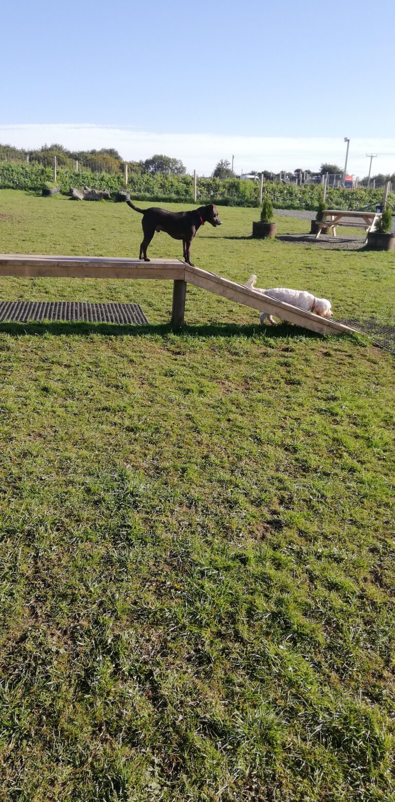 1842 122ff20a686b454f5e3f3c17d4935078 1 768x1558