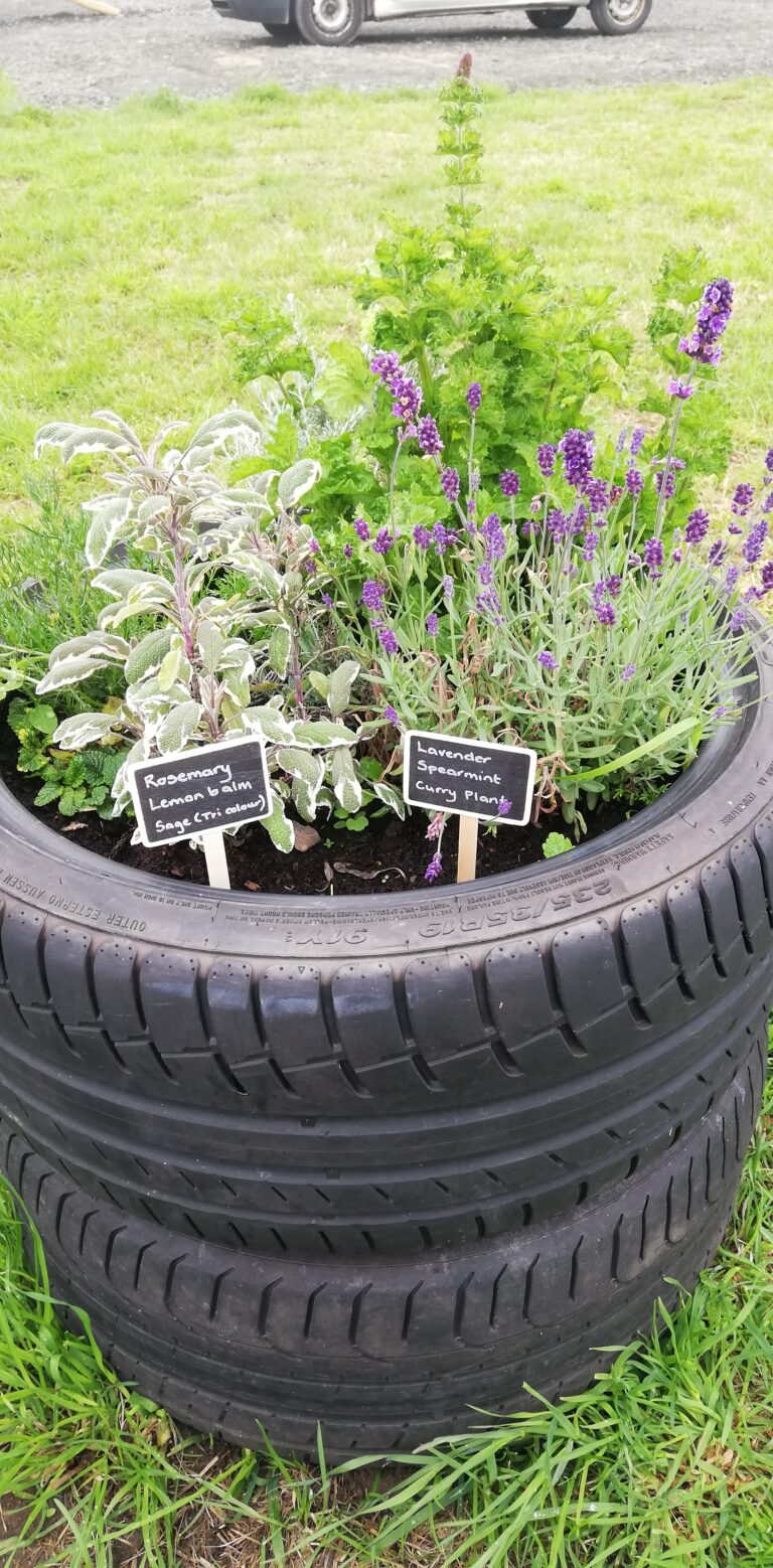 1842 1c9ccbe80e5b8a6e158dee32d8be7a26 1 768x1558