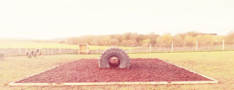 1842 ad3375b5e19ec516ee5dc0d85054b86b 1 768x298