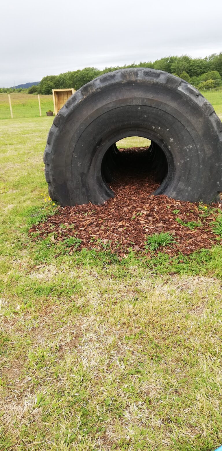 1842 b59f8da59eb62f93e219c00cf894e4a0 1 768x1558