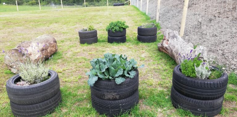 1842 bd5f520422a0d91c59c651c4a79df3fc 1 768x379