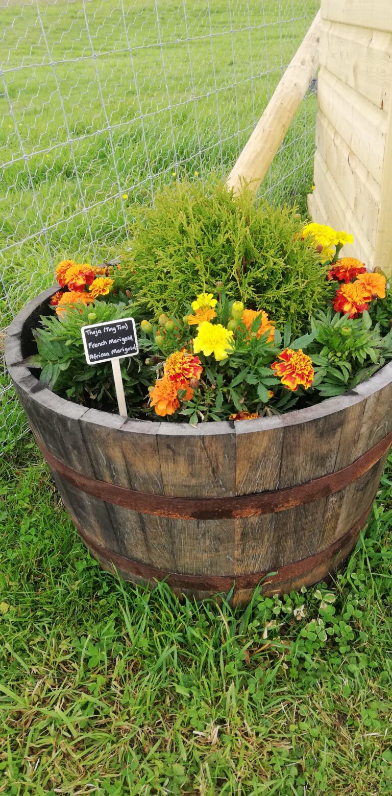 1842 c37f5ef4b08d6805f7a7aef005c5eae5 1 768x1558