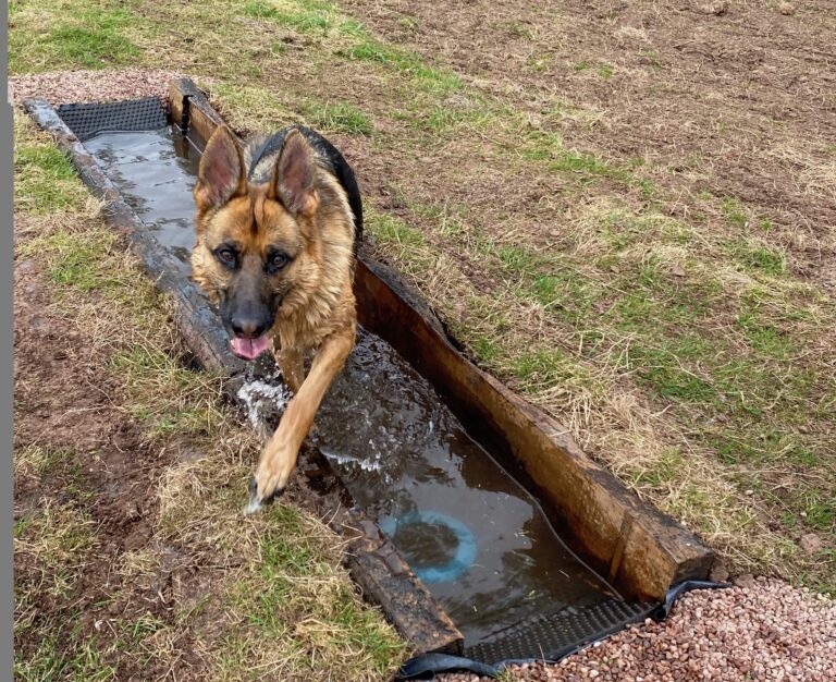 1844 37c8154c5255a4ec3be4fd58bfb5ba28 1 768x626