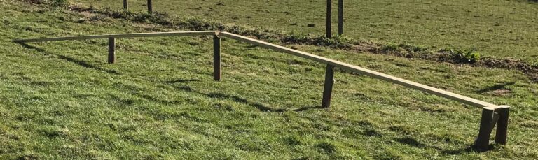 1844 b418055743b71dd2657c8e713f9d30a0 1 768x229