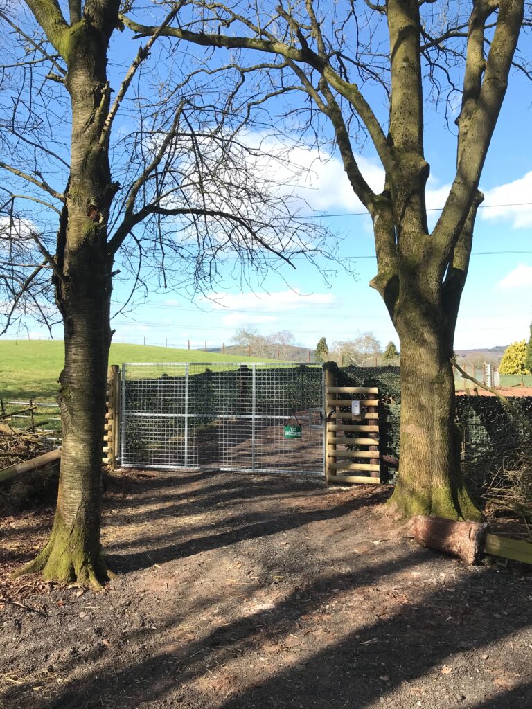 1844 c439a400ac99a9a2a9852c65bdbee78e 1 768x1024