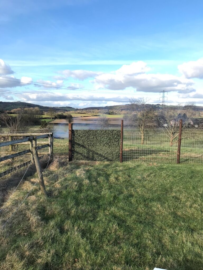 1844 e27515fd22c0799d0c8f23a764d1bdd7 1 768x1024