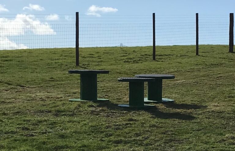 1844 efae6a55610ab82cfcbf283c1354b680 1 768x493