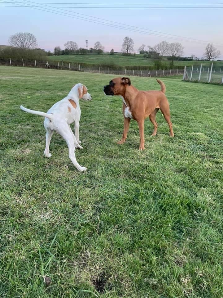 1845 a5ea2e2eeab6295de530c0f4df4549c9 1