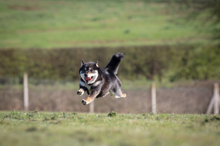 1845 d1ba28554b3364a1f6f1585c5a95f1e9 1 768x512