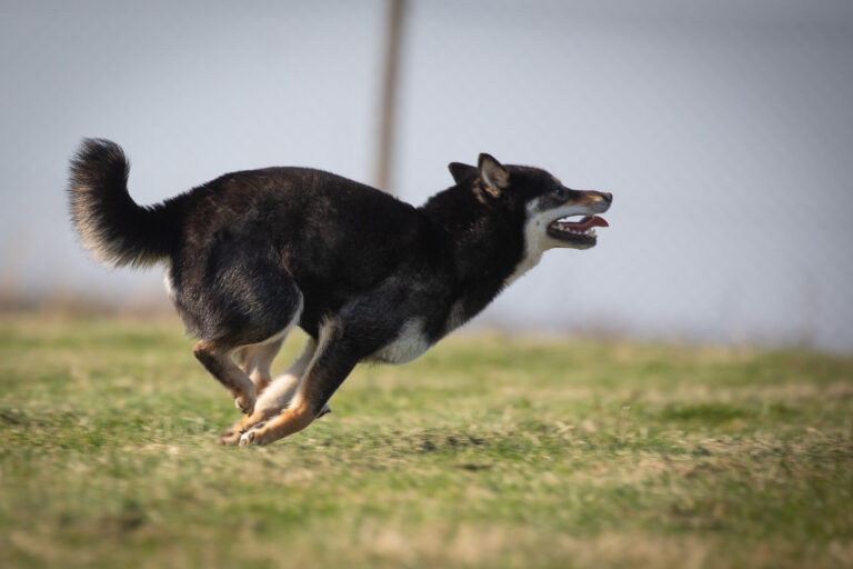 1845 f35c959092a16168efc1474cdc904984 1 768x512