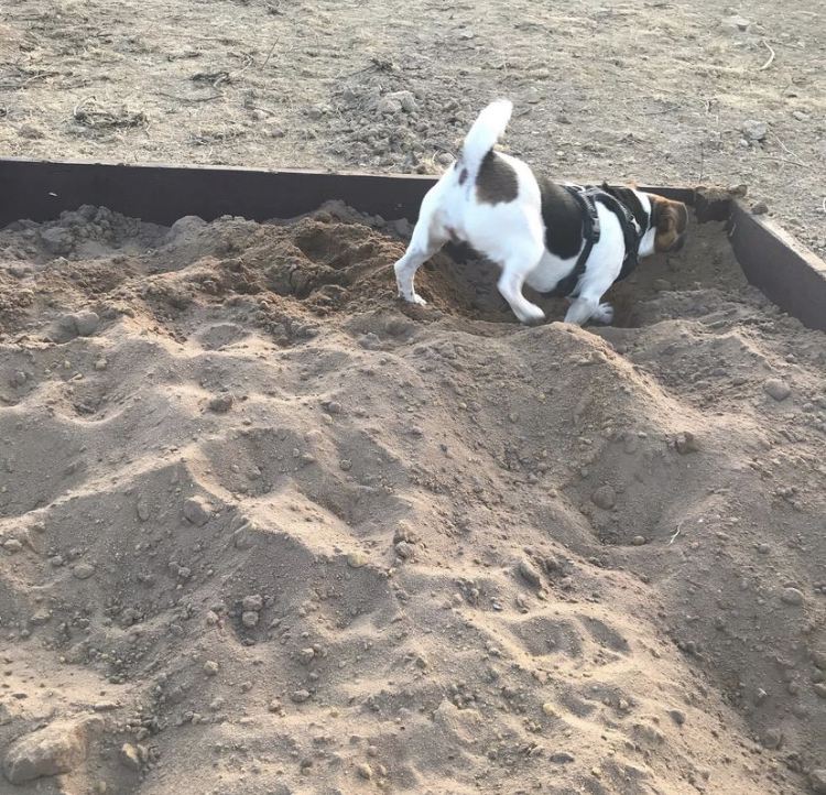 1846 0576ba873a3ca832b525f0e4190823f9 1