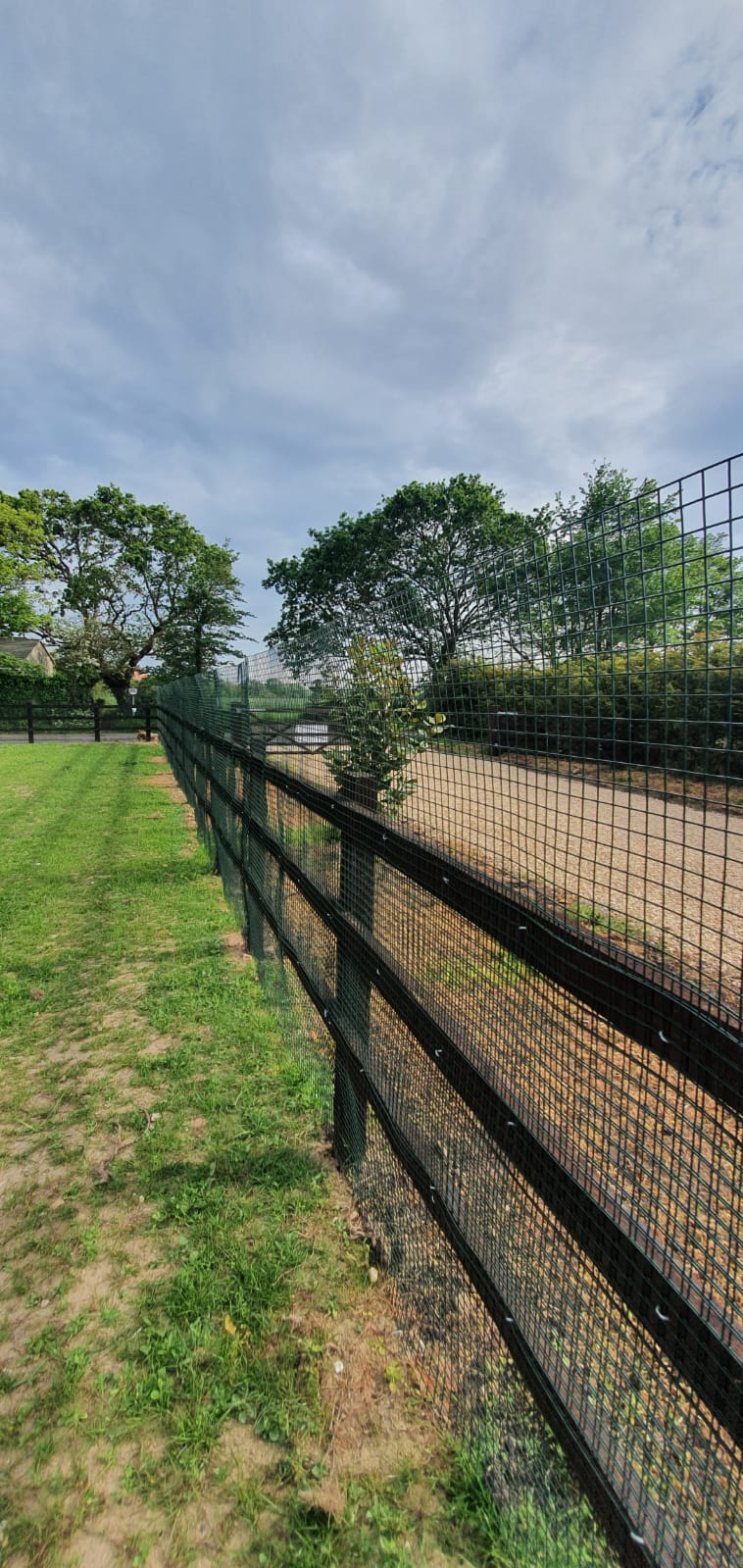 1846 3cbe1f285a9873028c9caff3e3e0d8e0 1