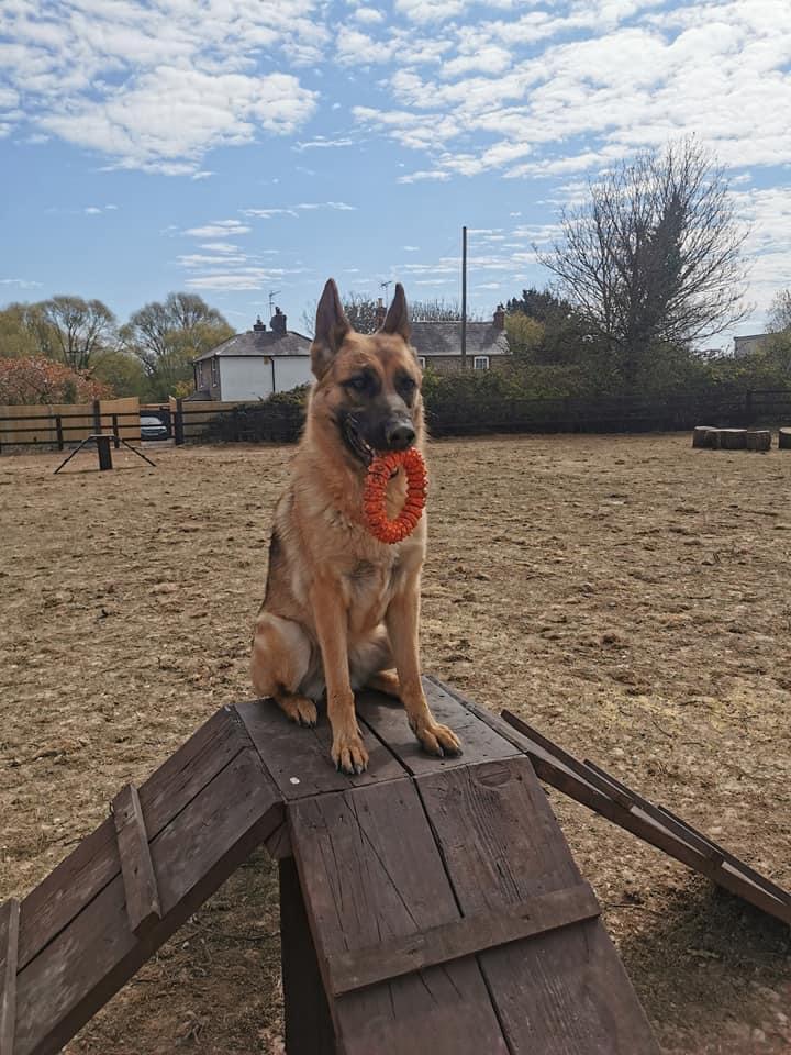 1846 9e5553499efd238a25346502cf1baaa6 1