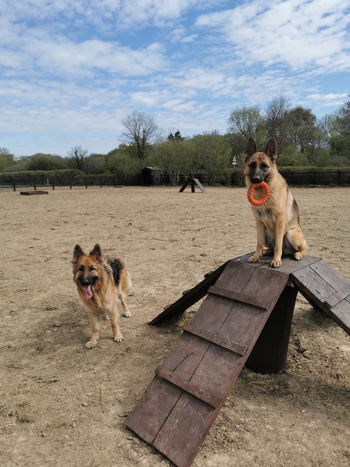 1846 c4b4a12924215a43166c1b6e09f21178 1