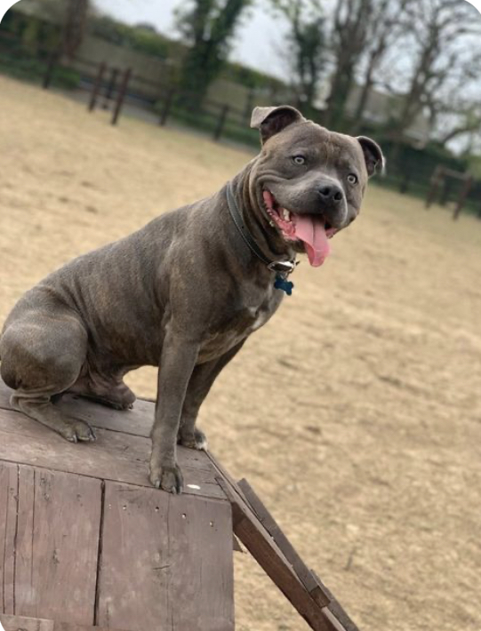 1846 f27de83f26363e53ce73e59a7597bdae 1