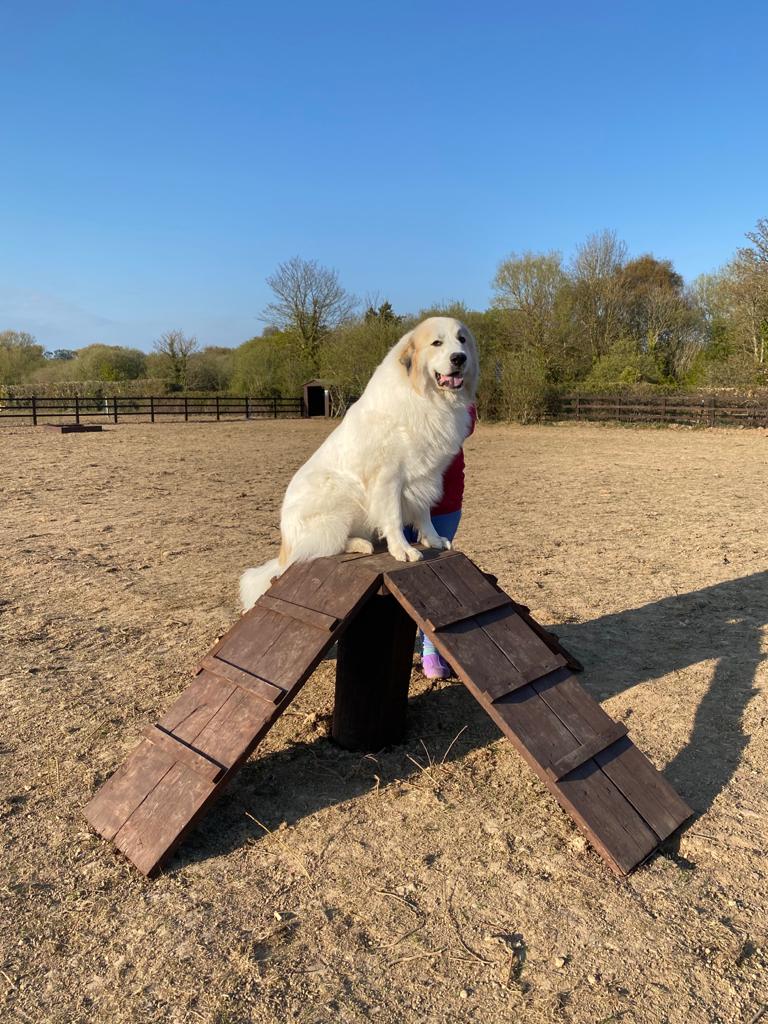 1846 f4ca76136f253addabbe2cc27053cc73 1