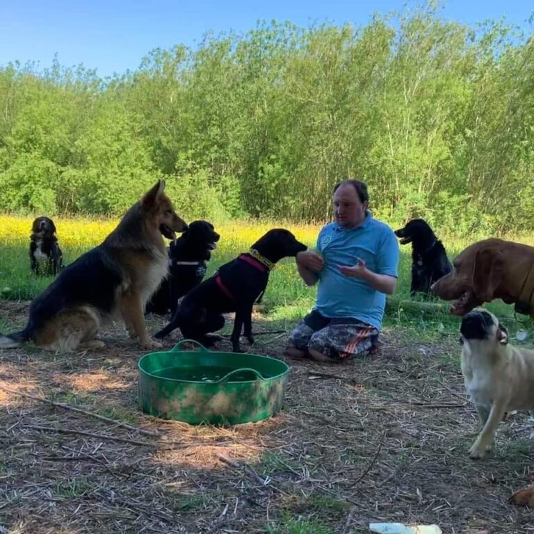 1847 cf0ed9c01383e4ee9bdef0dc1c88f423 1 768x768