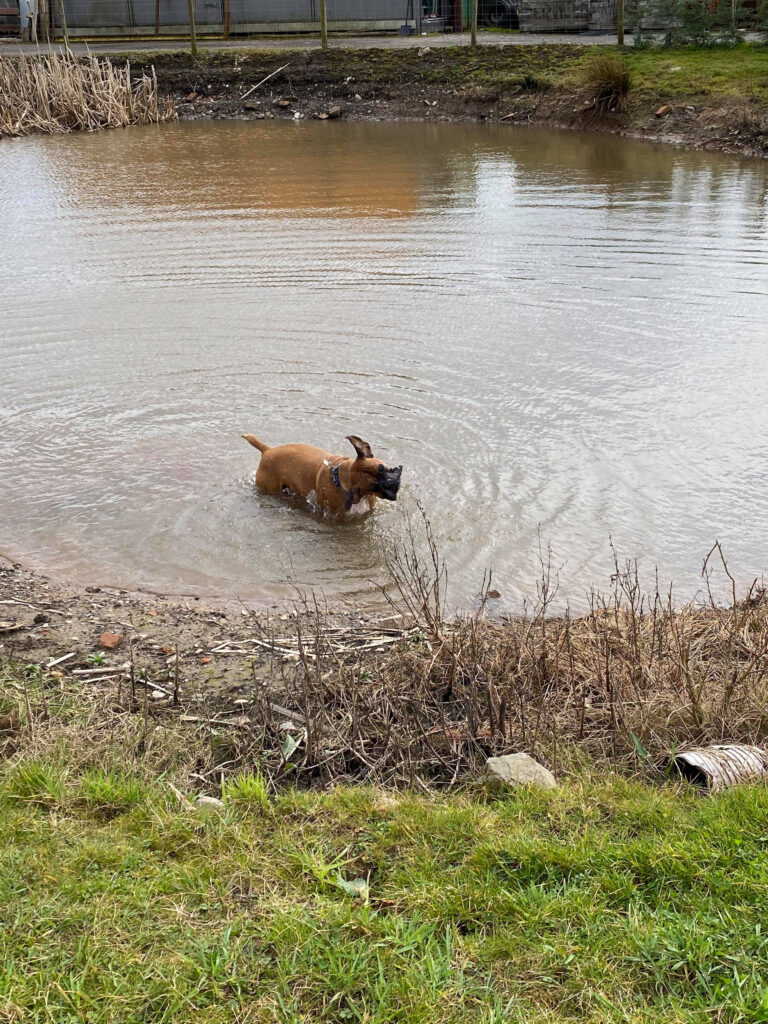 1848 06fab40734e715d03f6c3dd49924dd0b 1 768x1024