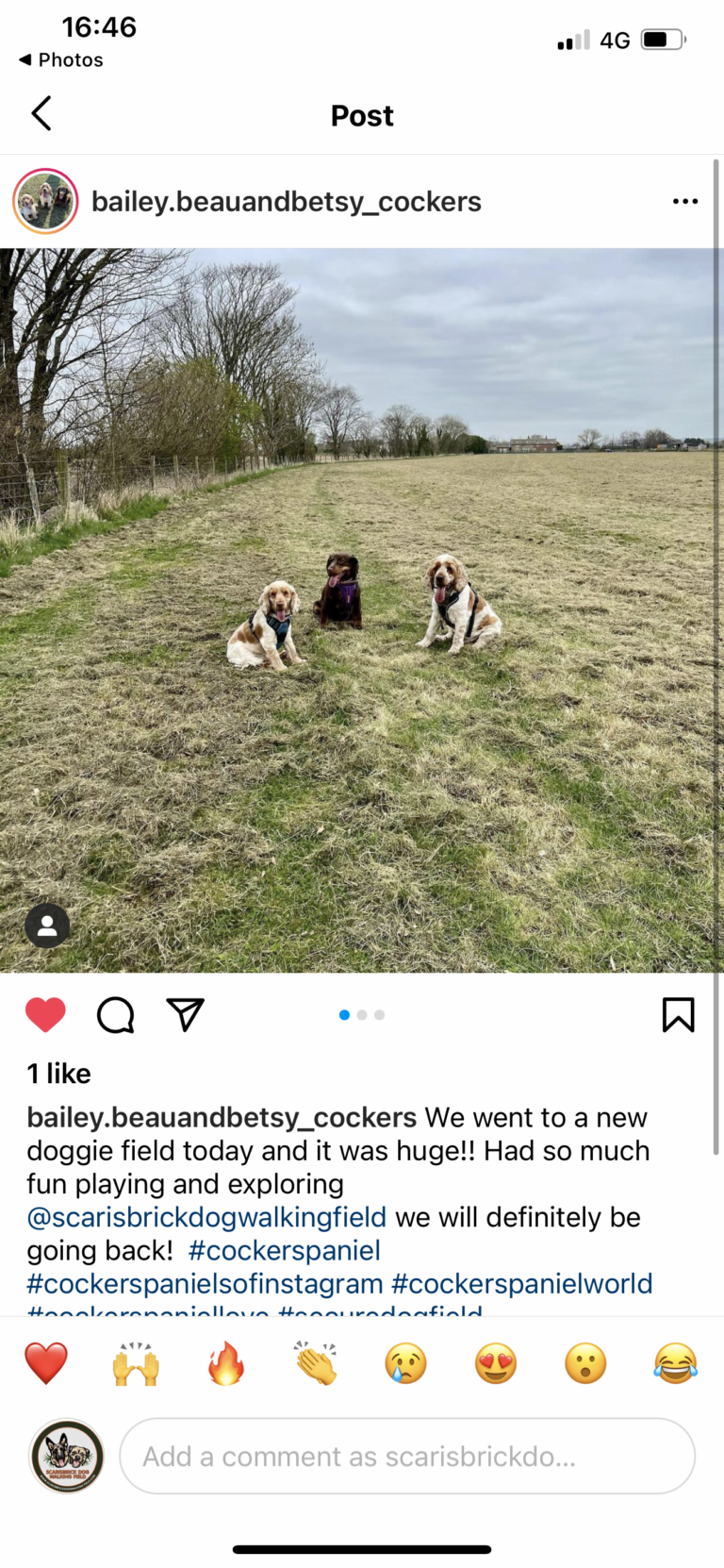 1848 d842ccb5f715025df10fbfc8ab42d2c6 1 768x1662