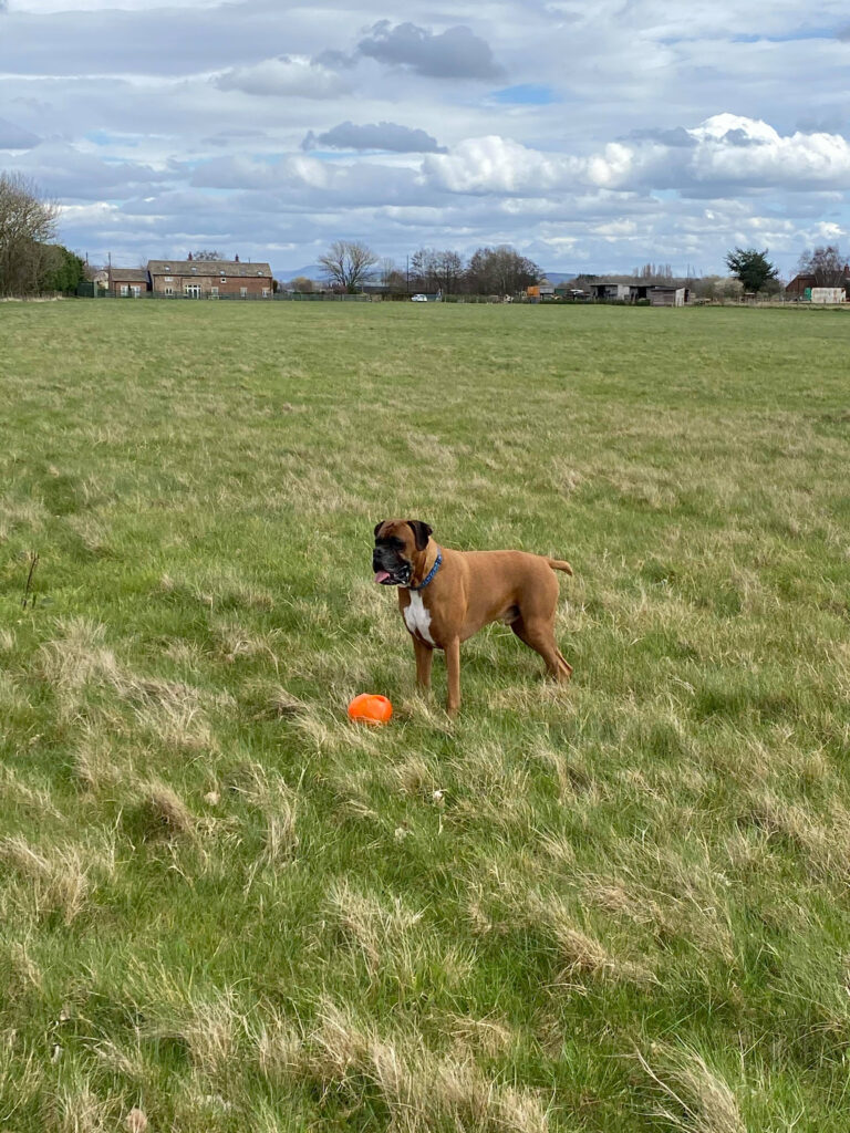 1848 faf72308f39de98f2d4e0fb415ec4699 1 768x1024