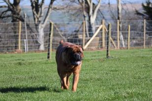 1849 153872b7906d67702c2844bc50be2e6d 1