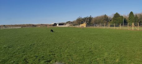 1849 26c553c8732593bfea9264a9aab853cf 1