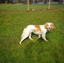 1849 5e623eb65060c812bae66f6b4ab8bf9a 1