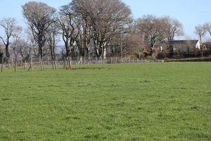 1849 903e5ebe02666e5cc339598395827b0e 1