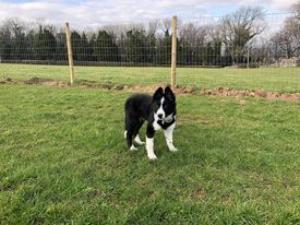 1849 a65b5bbca10a497f64a223f7b0dff605 1